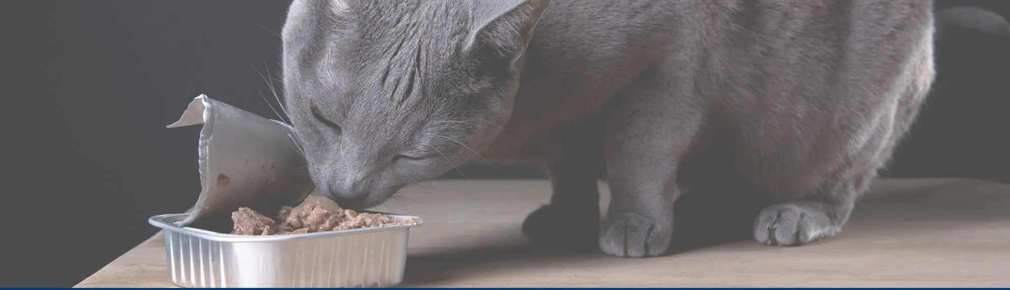 Teeling Petfood